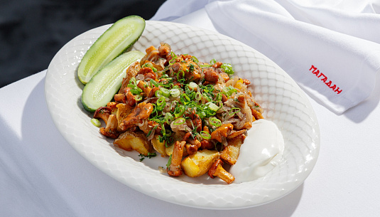 Лисички в Питере. Самый полный гид. Часть I