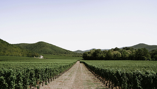 Сила родной земли